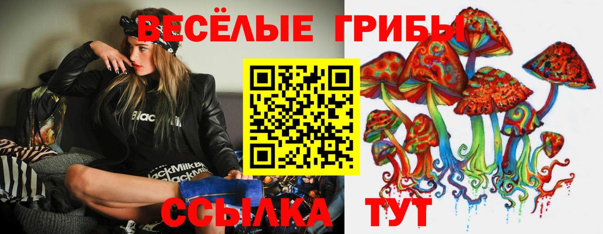 Благовещенск  Галлюциногенные грибы Magic Shrooms  Вход с VPN 